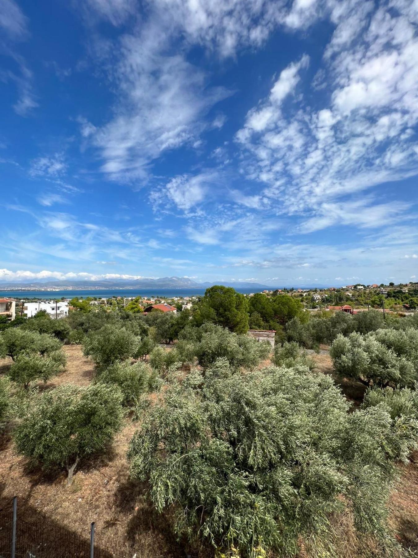Xenia'S Seaview House Villa Avlídosz-part Kültér fotó